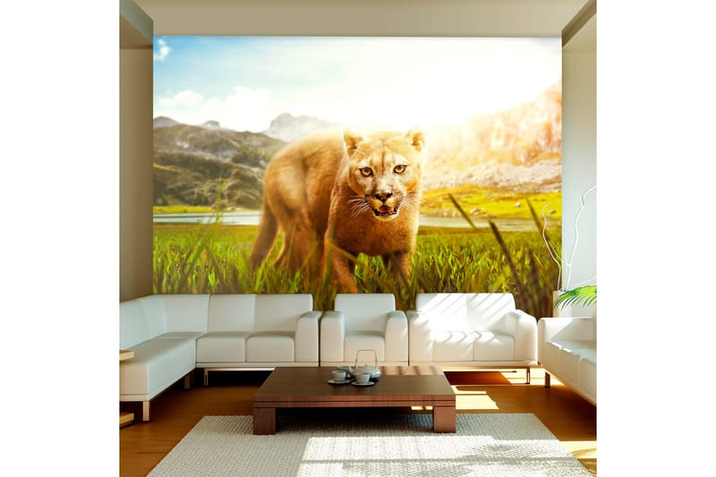 Fototapet Watch Out! 150x105, Artgeist sp. z o. o.