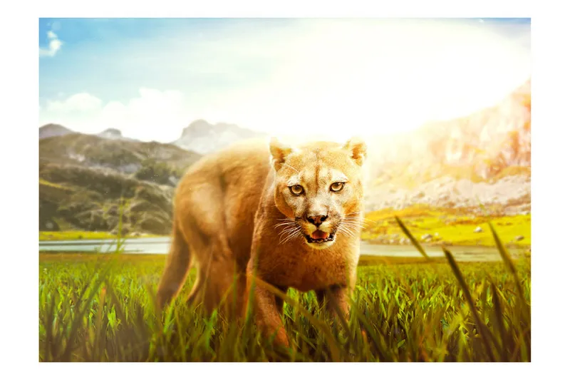 Fototapet Watch Out! 400x280 - Artgeist sp. z o. o. - Innredning - Veggdekorasjon - Tapeter - Fototapeter