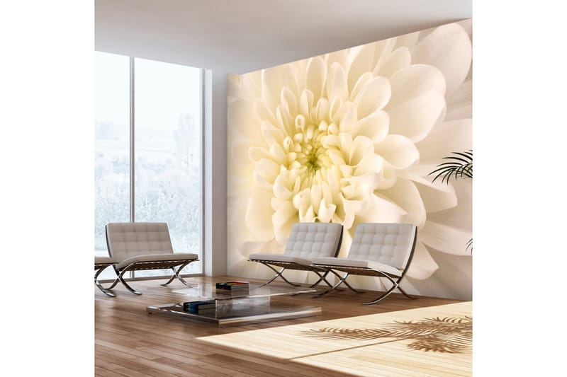 Fototapet White Dahlia 400x309, Artgeist sp. z o. o.