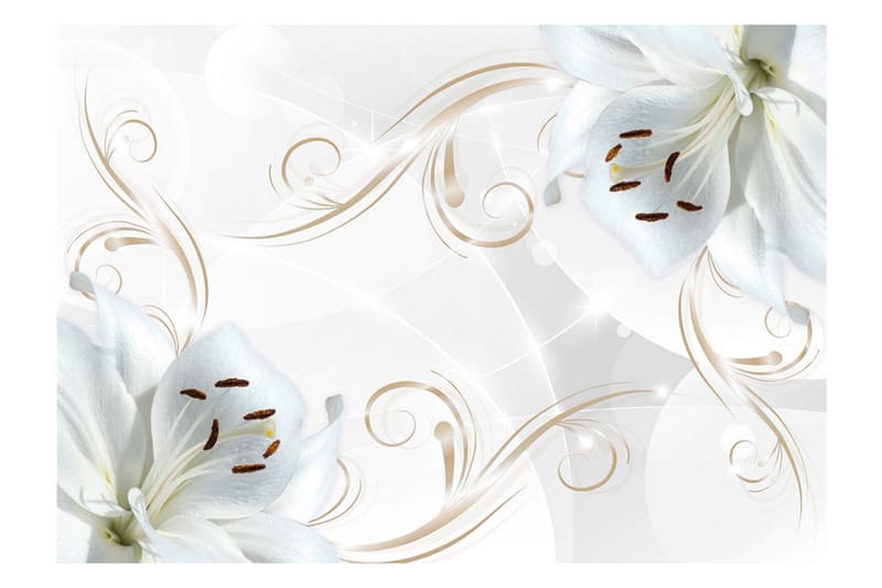 Fototapet White Dancers 250x175 - Artgeist sp. z o. o. - Innredning - Veggdekorasjon - Tapeter - Fototapeter