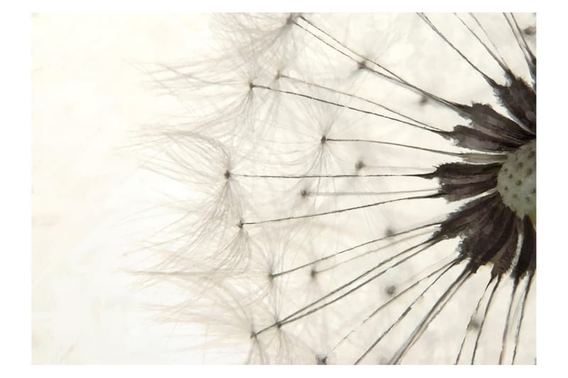 Fototapet White Dandelion 250x175 - Artgeist sp. z o. o. - Innredning - Veggdekorasjon - Tapeter - Fototapeter
