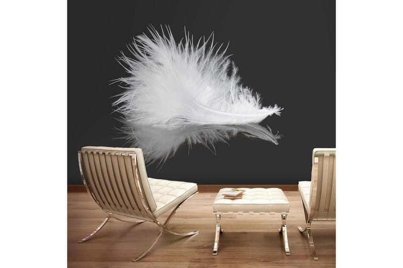 Fototapet White Feather 300x231, Artgeist sp. z o. o.