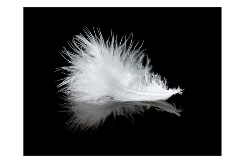 Fototapet White Feather 300x231 - Artgeist sp. z o. o. - Innredning - Veggdekorasjon - Tapeter - Fototapeter