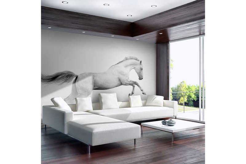 Fototapet White Gallop 250x193, Artgeist sp. z o. o.