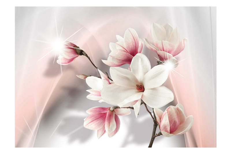 Fototapet White Magnolias 200x140 - Artgeist sp. z o. o. - Innredning - Veggdekorasjon - Tapeter - Fototapeter