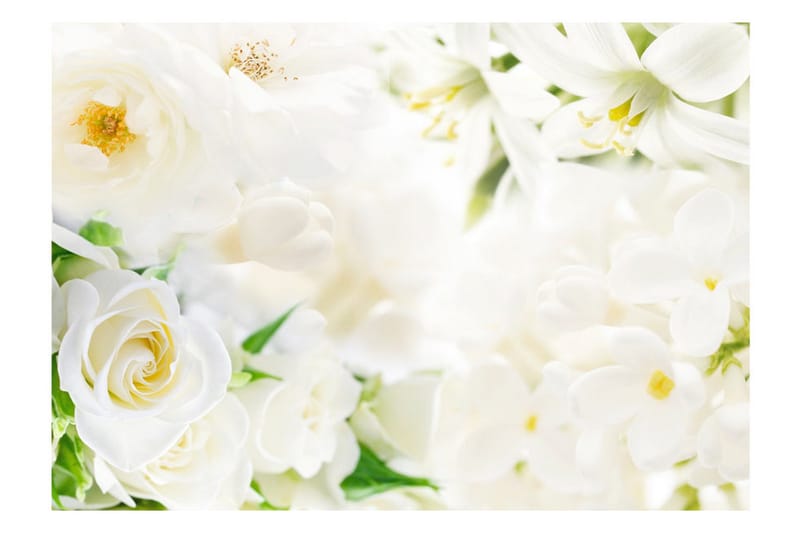 Fototapet White Sigh 150x105 - Artgeist sp. z o. o. - Innredning - Veggdekorasjon - Tapeter - Fototapeter