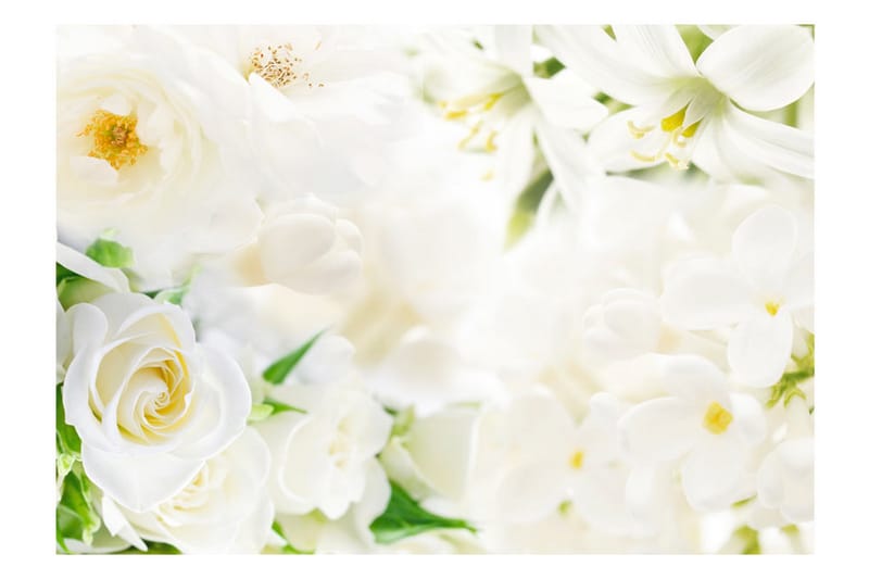 Fototapet White Sigh 300x210 - Artgeist sp. z o. o. - Innredning - Veggdekorasjon - Tapeter - Fototapeter
