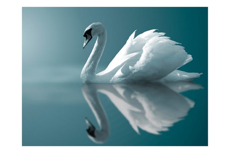 Fototapet White Swan 250x193 - Artgeist sp. z o. o. - Innredning - Veggdekorasjon - Tapeter - Fototapeter