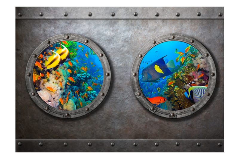 Fototapet Window To The Underwater World 200x140 - Innredning - Veggdekorasjon - Tapeter - Fototapeter