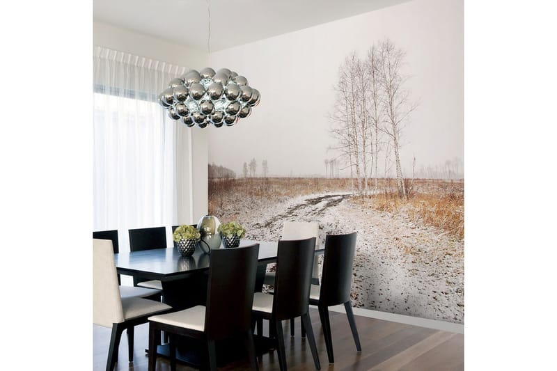 Fototapet Winter Field 300x231 - Artgeist sp. z o. o. - Innredning - Veggdekorasjon - Tapeter - Fototapeter