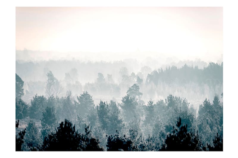 Fototapet Winter Forest 150x105 - Innredning - Veggdekorasjon - Tapeter - Fototapeter