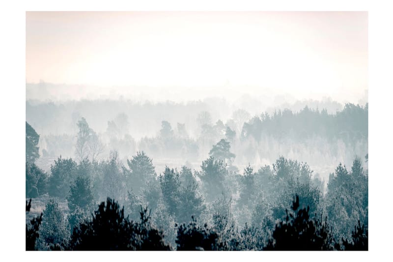 Fototapet Winter Forest 250x175 - Finnes i flere størrelser - Innredning - Veggdekorasjon - Tapeter - Fototapeter