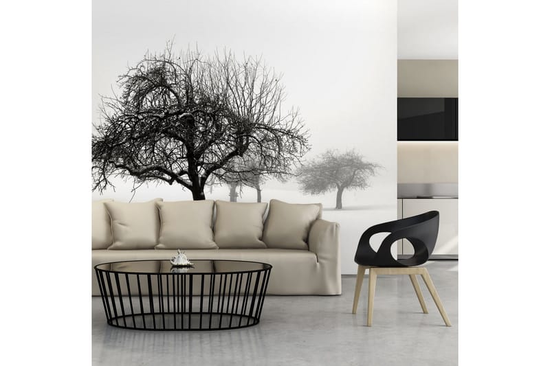 Fototapet Winter Trees 400x309 - Artgeist sp. z o. o. - Innredning - Veggdekorasjon - Tapeter - Fototapeter