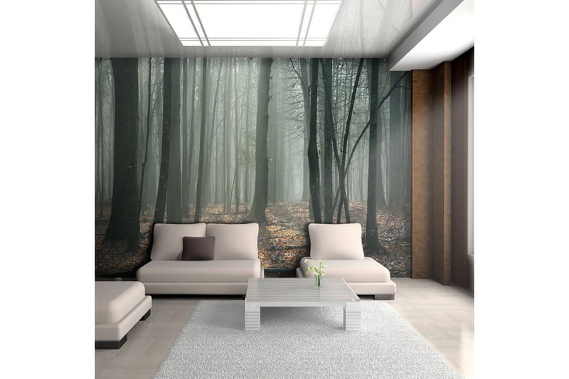 Fototapet Witches' Forest 250x193 - Artgeist sp. z o. o. - Innredning - Veggdekorasjon - Tapeter - Fototapeter