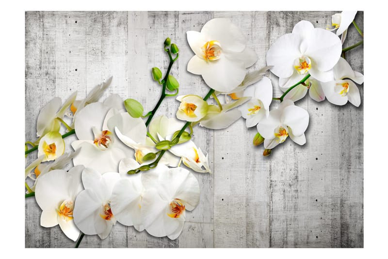 Fototapet With Saffron Accent 100x70 - Artgeist sp. z o. o. - Innredning - Veggdekorasjon - Tapeter - Fototapeter