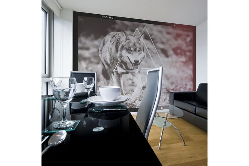 Fototapet Wolf Photo 400x309, Artgeist sp. z o. o.