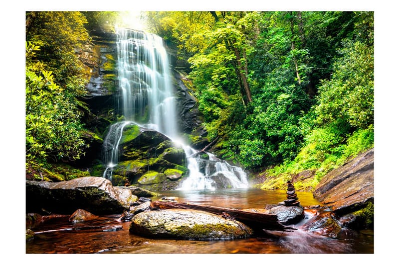 Fototapet Wonder Of Nature 400x280, Artgeist sp. z o. o.