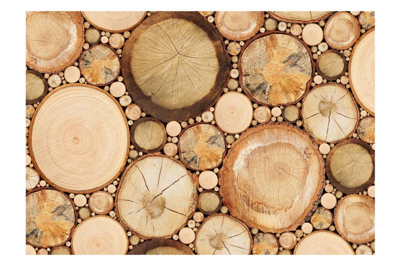 Fototapet Wood Grains 200x140 - Artgeist sp. z o. o. - Innredning - Veggdekorasjon - Tapeter - Fototapeter