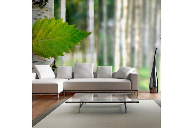 Fototapet XXL Bjørkløv 550x270 - Artgeist sp. z o. o. - Innredning - Veggdekorasjon - Tapeter - Fototapeter