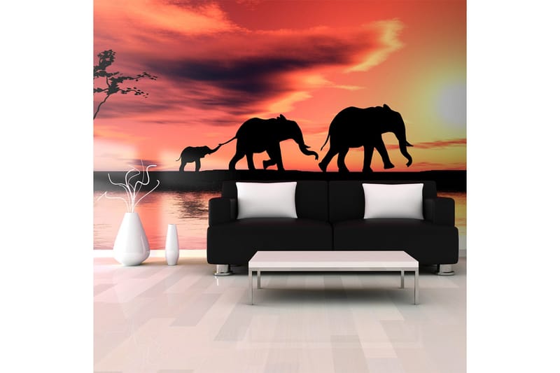 Fototapet XXL Elephants Family 550x270, Artgeist sp. z o. o.