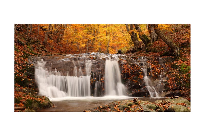 Fototapet XXL Høstlandskap Foss I Skogen 550x270 - Artgeist sp. z o. o. - Innredning - Veggdekorasjon - Tapeter - Fototapeter