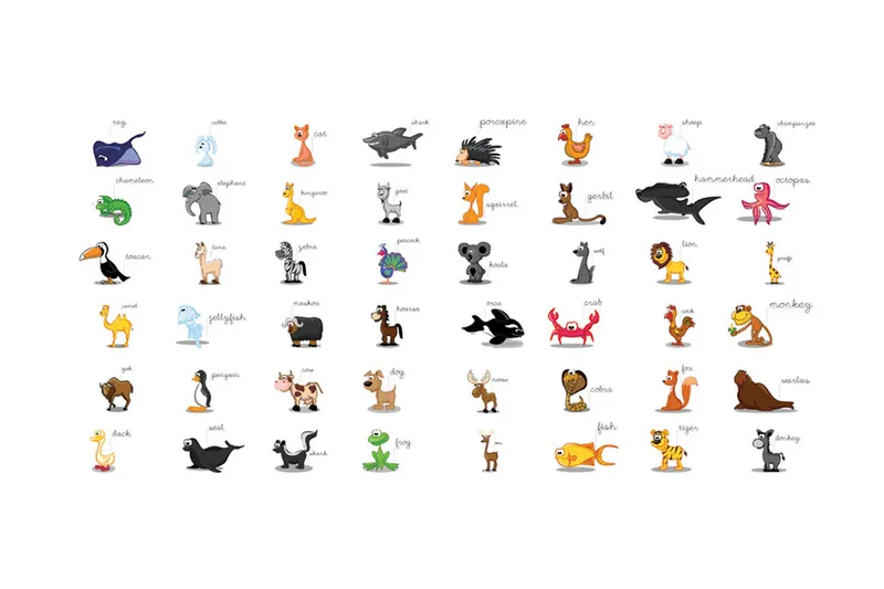 Fototapet XXL Learning By playing Animals 550x270 - Artgeist sp. z o. o. - Innredning - Veggdekorasjon - Tapeter - Fototapeter