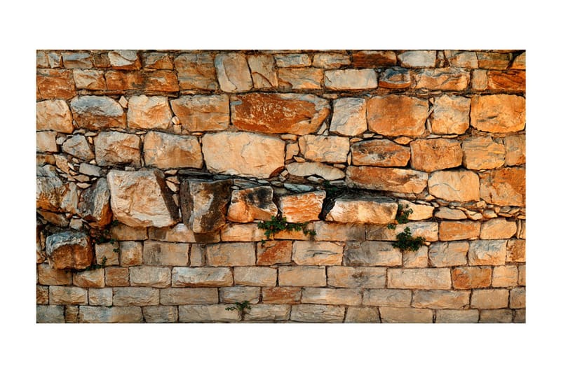 Fototapet XXL Prelude Of The Day II 500x280 - Artgeist sp. z o. o. - Innredning - Veggdekorasjon - Tapeter - Fototapeter