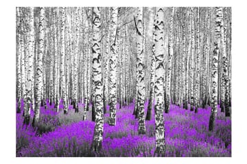 Fototapet Purple Asylum 350x245 - Artgeist sp. z o. o. - Innredning - Veggdekorasjon - Tapeter - Fototapeter