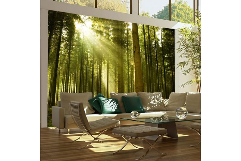 Fototapet Pine Forest 250x193 - Artgeist sp. z o. o. - Innredning - Veggdekorasjon - Tapeter - Fototapeter