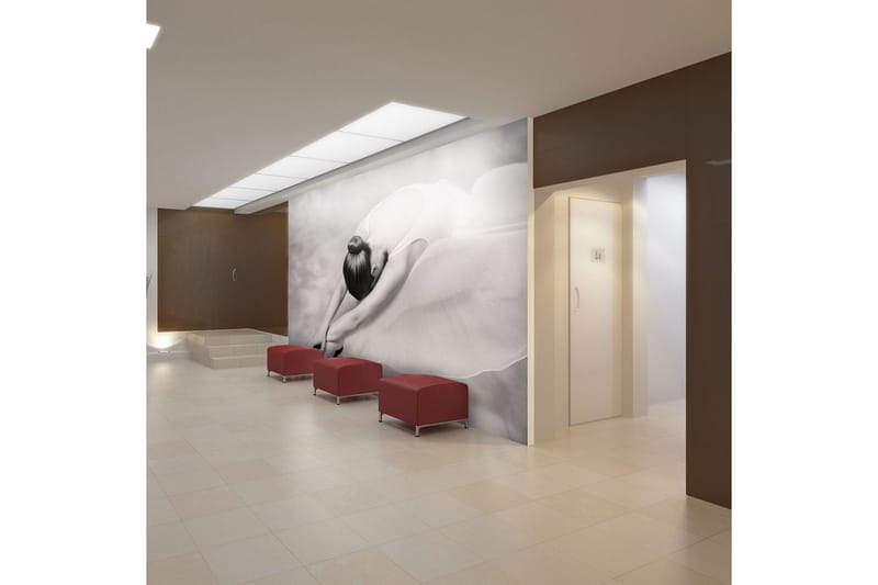 Fototapet Photography Ballerina 200x154, Artgeist sp. z o. o.