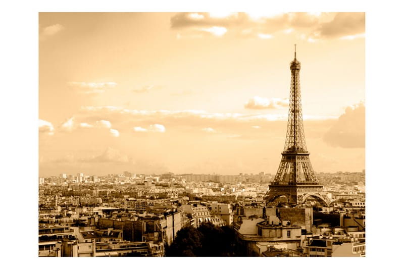Fototapet Paris Panorama 250x193 - Artgeist sp. z o. o. - Innredning - Veggdekorasjon - Tapeter - Fototapeter
