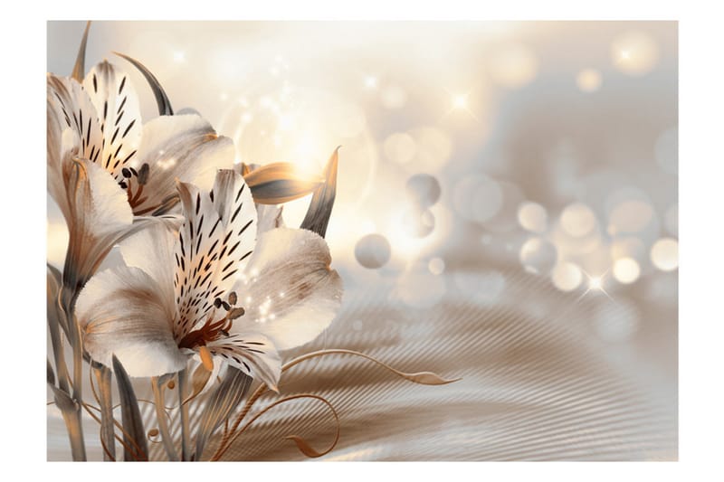 Fototapet Princesses Of The Morning 400x280 - Artgeist sp. z o. o. - Innredning - Veggdekorasjon - Tapeter - Fototapeter