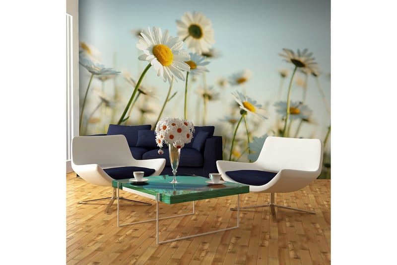 Fototapet Prestekrager Vår Eng 450x270, Artgeist sp. z o. o.