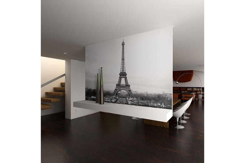 Fototapet Paris Black and White Photography 250x193, Artgeist sp. z o. o.