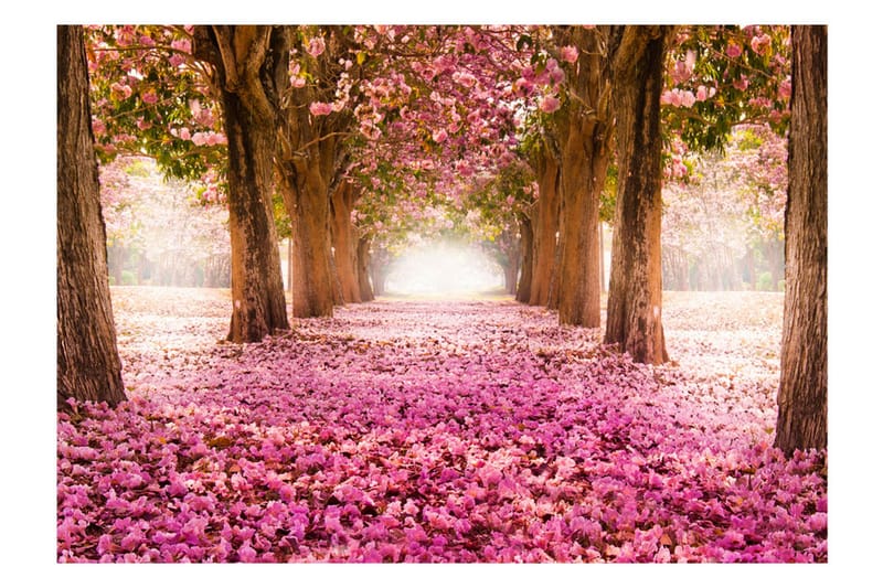 Fototapet Pink Grove 200x140 - Artgeist sp. z o. o. - Innredning - Veggdekorasjon - Tapeter - Fototapeter