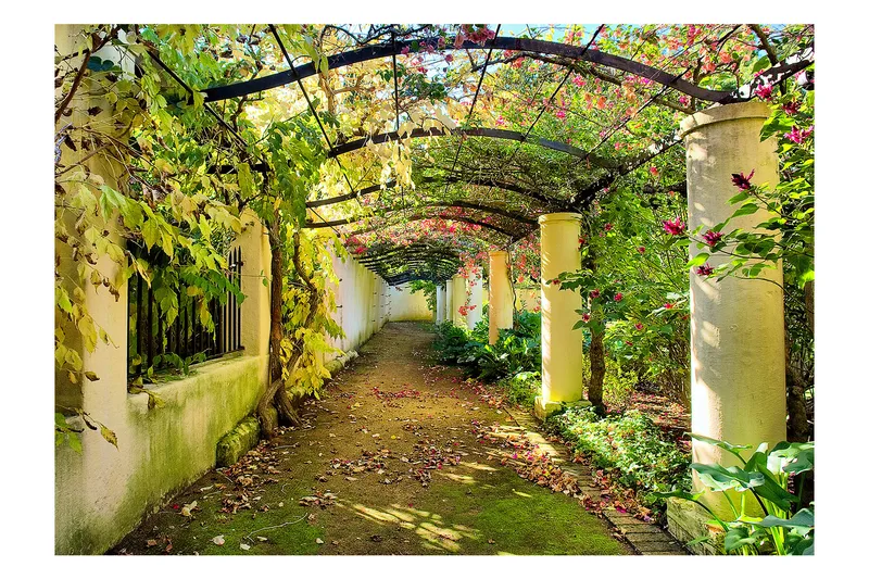 Fototapet Pergola 200x140, Artgeist sp. z o. o.