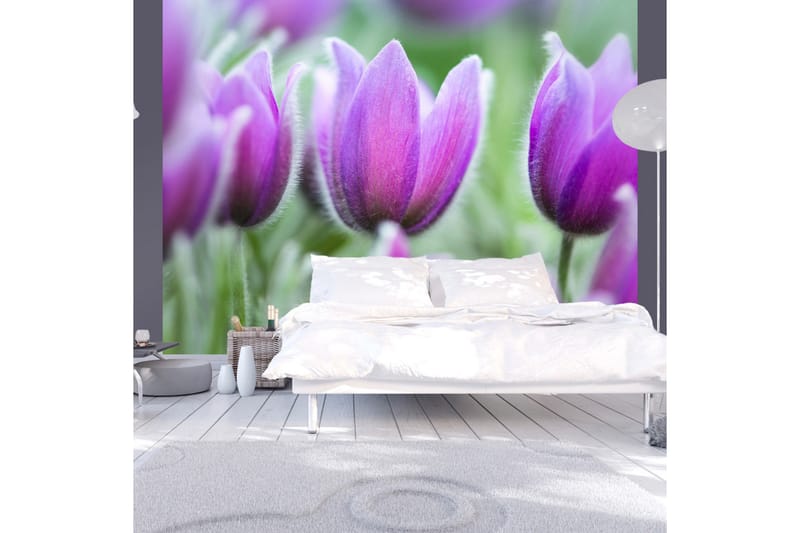 Fototapet Purple Spring Tulips 200x154 - Artgeist sp. z o. o. - Innredning - Veggdekorasjon - Tapeter - Fototapeter