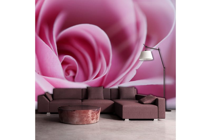 Fototapet Pink Rose 200x154, Artgeist sp. z o. o.