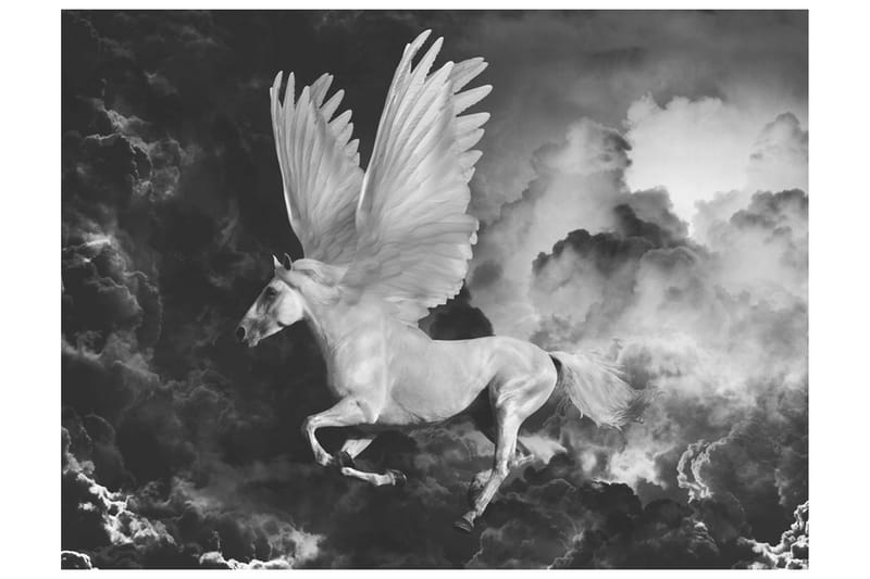 Fototapet Pegasus On The Road To Mount Olympus 250x193 - Artgeist sp. z o. o. - Fototapeter