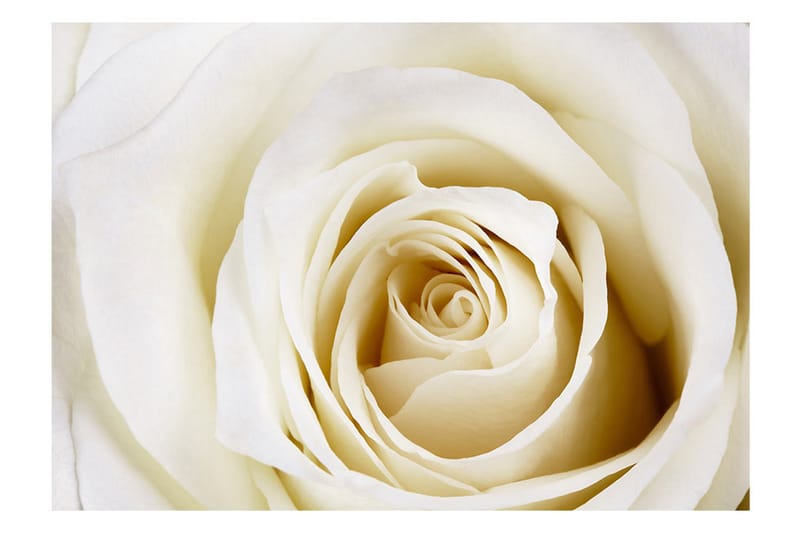 Fototapet Pearl Maze 400x280 - Artgeist sp. z o. o. - Innredning - Veggdekorasjon - Tapeter - Fototapeter