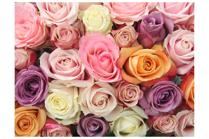 Fototapet Pastel Roses 200x154 - Artgeist sp. z o. o. - Innredning - Veggdekorasjon - Tapeter - Fototapeter