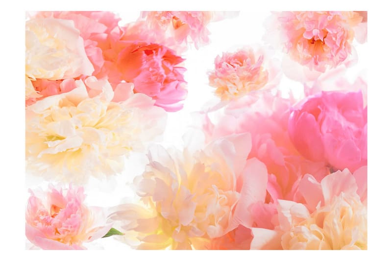 Fototapet Pastel Peonies 300x210 - Artgeist sp. z o. o. - Innredning - Veggdekorasjon - Tapeter - Fototapeter