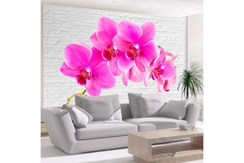 Fototapet Pink Excitation 250x175, Artgeist sp. z o. o.