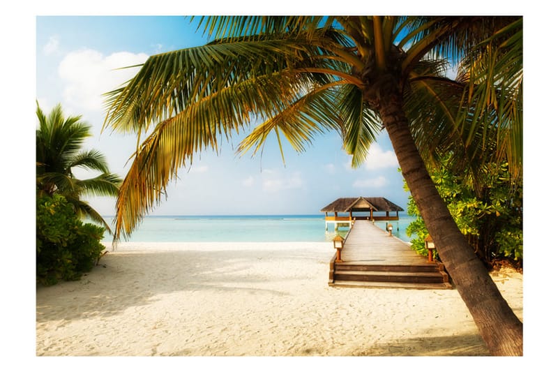 Fototapet Paradise Beach 200x140 - Artgeist sp. z o. o. - Innredning - Veggdekorasjon - Tapeter - Fototapeter