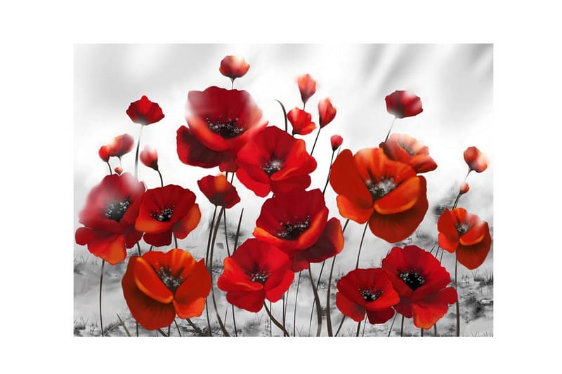 Fototapet Poppies In The Moonlight 250x175 - Artgeist sp. z o. o. - Innredning - Veggdekorasjon - Tapeter - Fototapeter