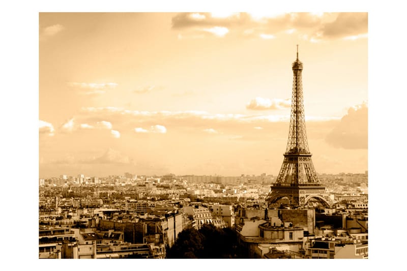 Fototapet Paris Panorama 250x193 - Artgeist sp. z o. o. - Innredning - Veggdekorasjon - Tapeter - Fototapeter