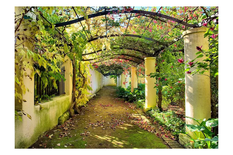 Fototapet Pergola 250x175, Artgeist sp. z o. o.