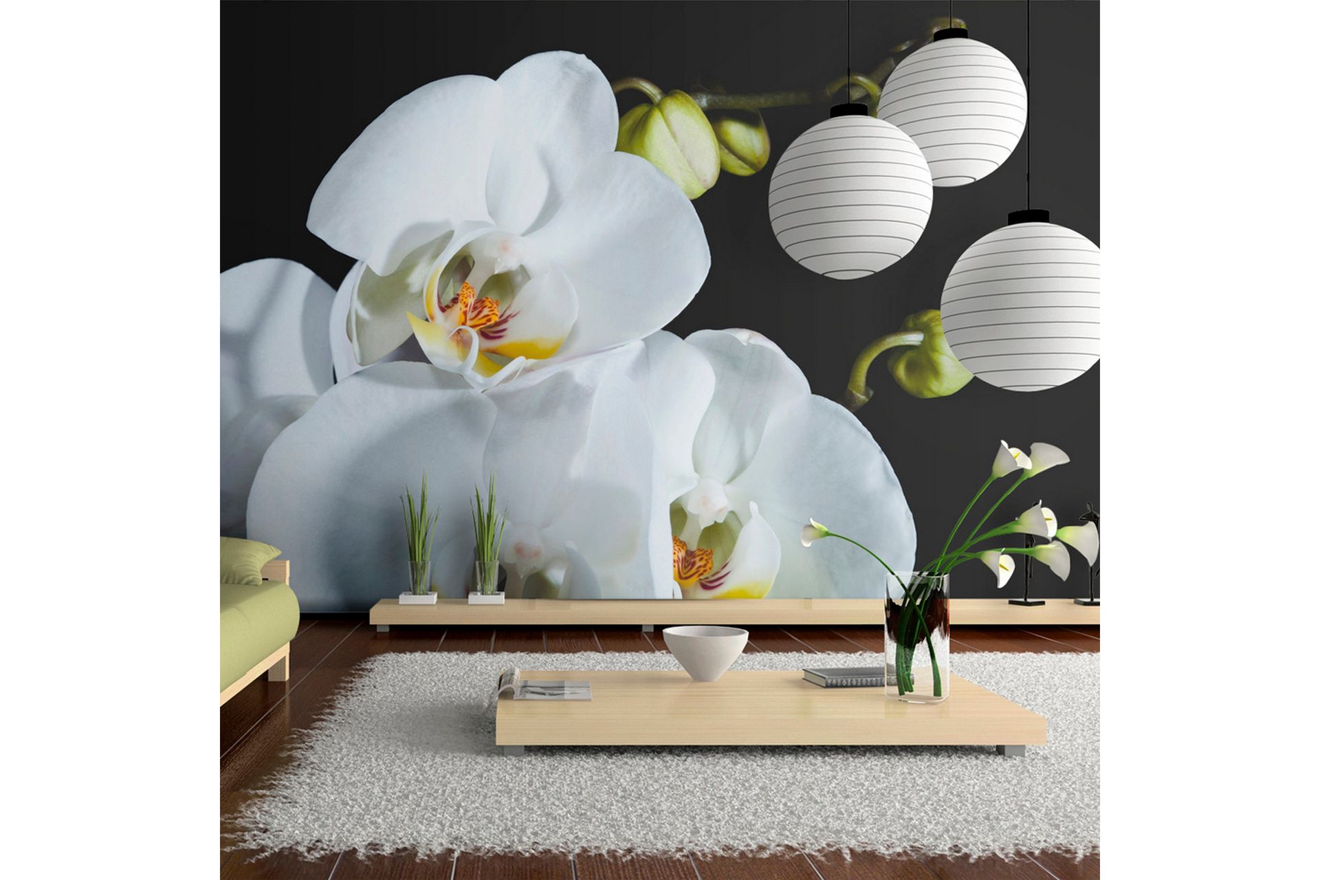 Fototapet Phalaenopsis 450x270 - Artgeist sp. z o. o. - Innredning - Veggdekorasjon - Tapeter - Fototapeter