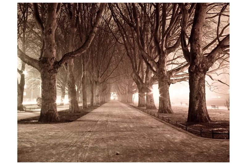 Fototapet Park 200x154, Artgeist sp. z o. o.