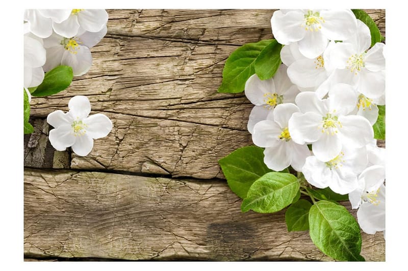 Veggmaleri Raw Beauty 250x175 - Artgeist sp. z o. o. - Innredning - Veggdekorasjon - Tapeter - Fototapeter